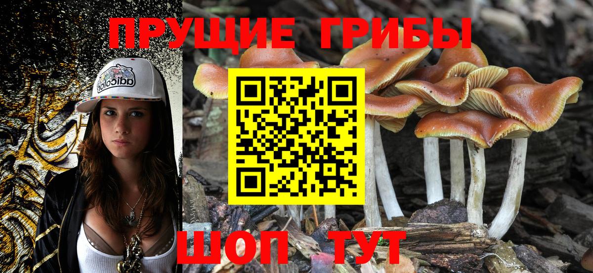 Псилоцибиновые грибы Psilocybe  Вход с VPN  Псилоцибиновые грибы мицелий  Биробиджан 